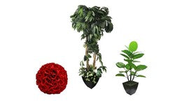 cgy-categories-decor-faux-flowers